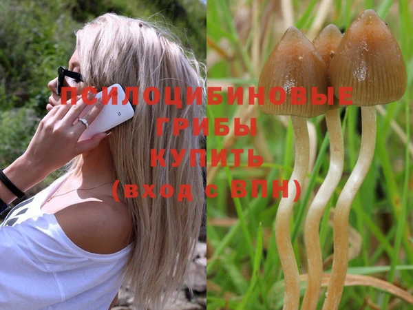 дурь Алзамай