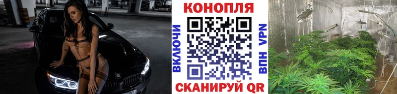 что такое наркотик  Апшеронск  Конопля семена 